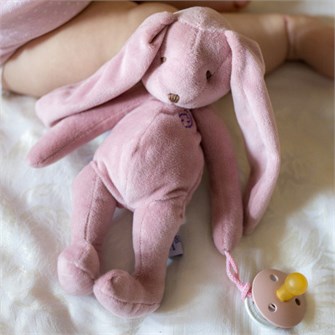 {{photo.Alt || photo.Description || 'Комфортер для новорожденного DrЁma 823-P Зайчик пудровый'}}