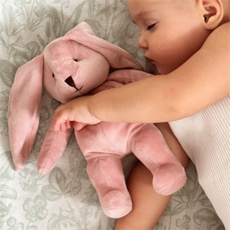 {{photo.Alt || photo.Description || 'Игрушка серии Mini  Зайка DrЁma 825-P пудровый'}}