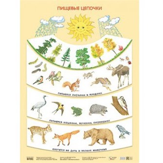 Книга 978-5-43150-639-0 Пищевые цепочки 485-974