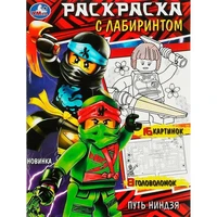Раскраска 9785506084914 Путь ниндзя. Раскраска с лабиринтом 302-460