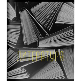 Тетрадь 48 л. линия Эстетика предметов Литература  249169 898-943