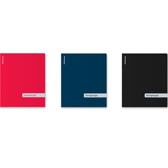 {{photo.Alt || photo.Description || 'Тетрадь 48 л. линейка Classic ассорти, Литература 59549 ErichKrause'}}