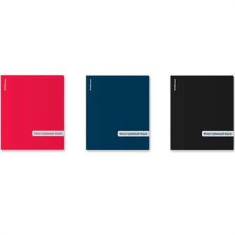 {{photo.Alt || photo.Description || 'Тетрадь 48 л. клетка Classic ассорти, Иностранный язык 62477 ErichKrause'}}