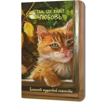 {{photo.Alt || photo.Description || 'Блокнот пушистой нежности Там, где живет любовь. Кот в окне 30 л 978-5-00241-359-1'}}