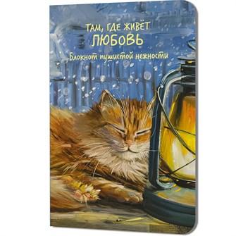 {{photo.Alt || photo.Description || 'Блокнот пушистой нежности Там, где живет любовь. Кот на подоконнике с лампой 30 л 978-5-00241-358-4'}}