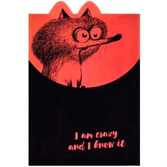 Папка для тетрадей на липучке 1 отделение А4 КРЭЙЗИ БЕЛКА 60450 897-203