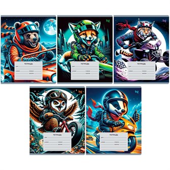 {{photo.Alt || photo.Description || 'Тетрадь 18 л. линия BG Гонщики 368746'}}