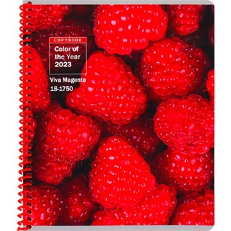 {{photo.Alt || photo.Description || 'Тетрадь 48 л. клетка VIVA MAGENTA 48-6133'}}