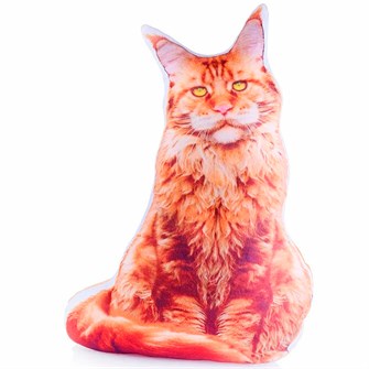 Кот Мейн-кун 9.398.1 /Мальвина/ 145-422