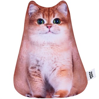 Котенок 20 см МТГ10806 144-904