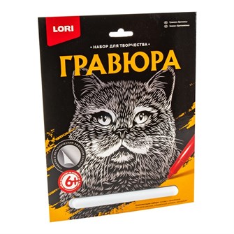 Набор для творчества Гравюра большая 