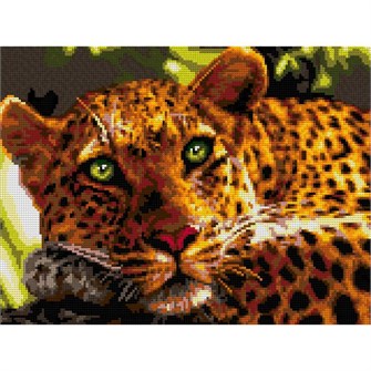 Набор для творчества Алмазная мозаика 30*40 см полное заполнение Леопард Ам-107 LORI 983-323