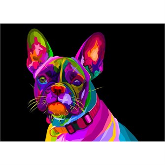 Набор для творчества Роспись по холсту 22х30 см Разноцветный бульдог Х-4080 983-871