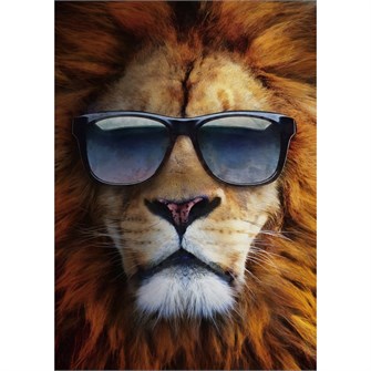 Набор для творчества Роспись по холсту 22х30 см Крутой лев в очках Х-4076 983-868