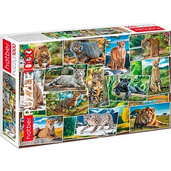 Пазл 1000 эл. Дикие кошки 1000ПЗ2_33587 Hatber 935-669
