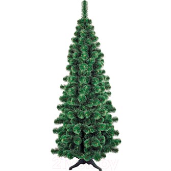 Ель Пихта Алтай 220 см. ПА220. 450-954