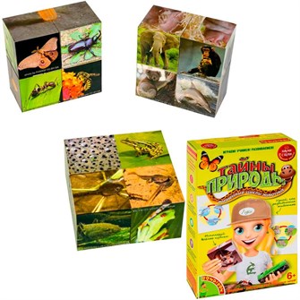 {{photo.Alt || photo.Description || 'Набор Японские опыты Науки с Буки Bondibon Тайны природы 196411'}}