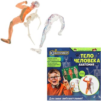 Набор Опыты тело человека IQ Эксперимент A365-H24040-R 810-602