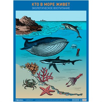 Плакат 978-5-43152-704-3 Кто в море живет 401-240
