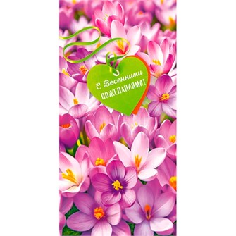 Конверт для денег без надписи 75.021 660-113