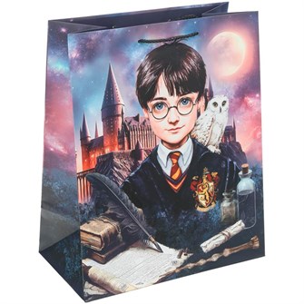 {{photo.Alt || photo.Description || 'Пакет Чудо праздник матовый l Школа волшебства PL-130218-HP'}}