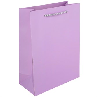 {{photo.Alt || photo.Description || 'Пакет 18*8.5*24 см цвета в ассорт. 141V-1002'}}