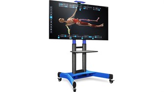 Интерактивный трёхмерный атлас анатомии человека PL-Anatomy ✅ 2096