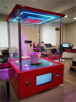 {{photo.Alt || photo.Description || 'Детская биолаборатория "Умная Теплица" Мироника, Расширенная ✅'}}