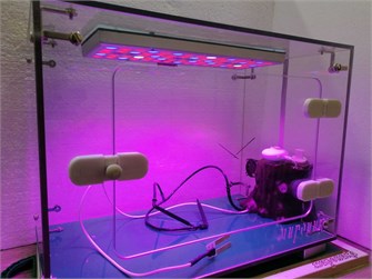 {{photo.Alt || photo.Description || 'Детская биолаборатория "Умная грядка" Мироника ✅'}}