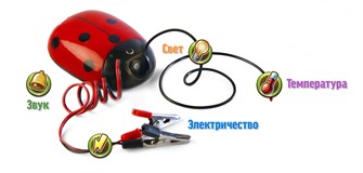 {{photo.Alt || photo.Description || '🔰Академия Наураши "Мультимедийная лаборатория" ✅'}}