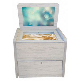 {{photo.Alt || photo.Description || 'Сундучок психолога-дефектолога «Антошка» для ДОУ ✅'}}