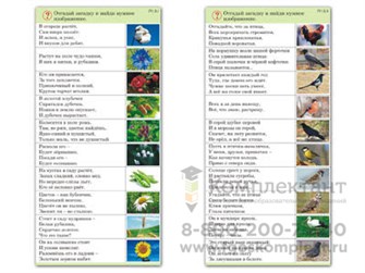 Комплект карточек (10) Природа 1023675841