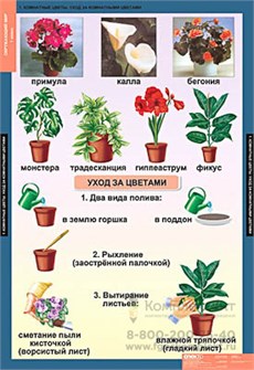 Таблицы демонстрационные "Окружающий мир 1 кл. 168452334