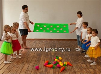 Подвижная игра игровое поле "Грядка с овощами 01976161336