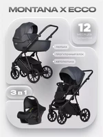 Коляска 3 в 1 Riko Basic Montana X Ecco 24 Graphite 5907729455560