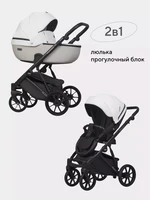 Коляска 2 в 1 Riko Basic Montana Ecco 32 White-Light Silver 5907729454549