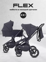 Коляска 2 в 1 Rant Flex 2025 RA076 Black 4670078653079