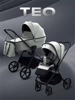 Коляска 2 в 1 Rant Teo Sage 4670078656018