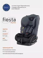 Автокресло Rant Fiesta City line 0/1/2 (0-25 кг) techno 4630053756676