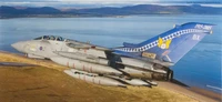 00930  авиация  TORNADO GR.4 NO.14 SQUADRON   (1:72) 2000000132563
