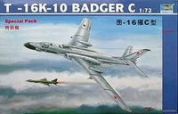 01613  авиация  КБ Т-16K-10 BADGER C  (1:72) 9580208016139