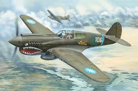 02269  авиация  P-40E War Hawk  (1:32) 9580208022697