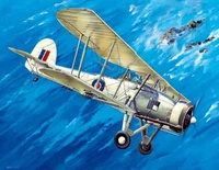 03208  авиация  Фейри "Суордфиш" Mk.II (1:32) 9580208032085