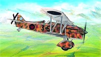 0810  авиация  Fiat CR-32 Freccia (1:48) 8594877008105