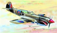 0875  авиация  CURTISS P - 40K (1:72) 2000002073406