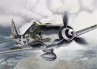 1312  авиация  FW 190 D-9 (1:72) 2000002093114