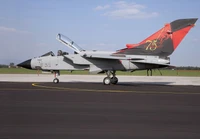 1336  авиация  TORNADO IDS/ECR "Special colors" (1:72) 8001283013369
