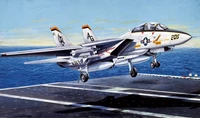 1156  авиация  F-14A TOMCAT (1:72) 8001283011563
