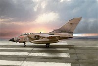 1384  авиация  TORNADO GR.1  (1:72) 8001283013840