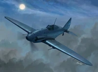 48013  авиация  Reggiane Re.2001 CN  (1:48) 8596444480130